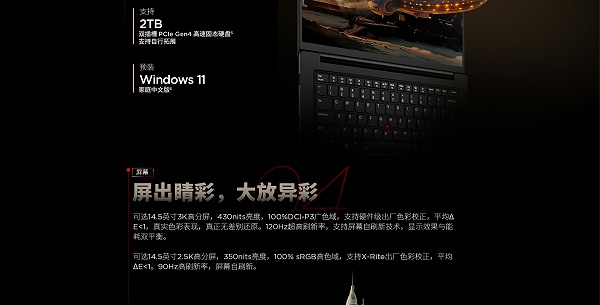 联想ThinkPad T14p 2024 高性能AI本 元启版